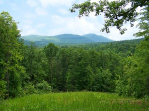 North Carolina-mountain-land-for-sale