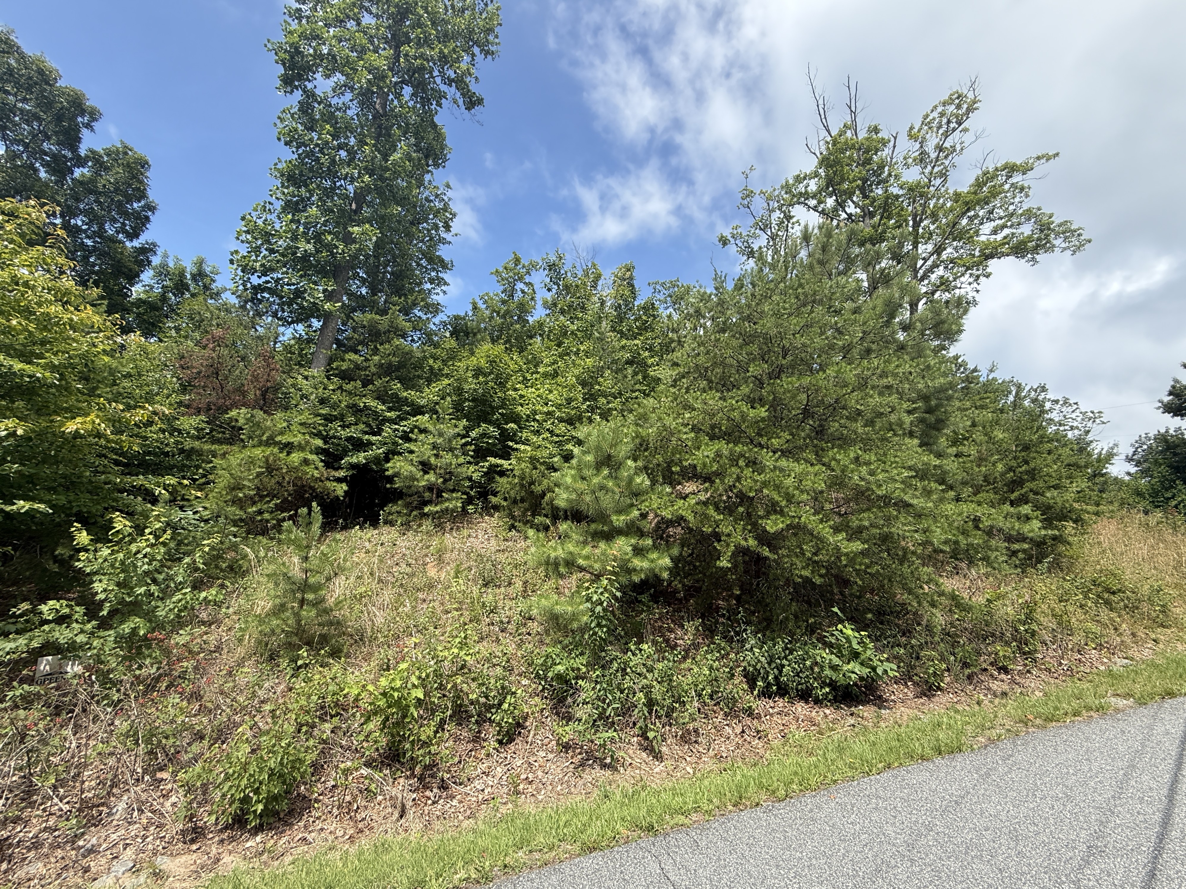 Lot 15 Arbra Mountain Way, Bostic NC — Yellowtop Mountain Estates