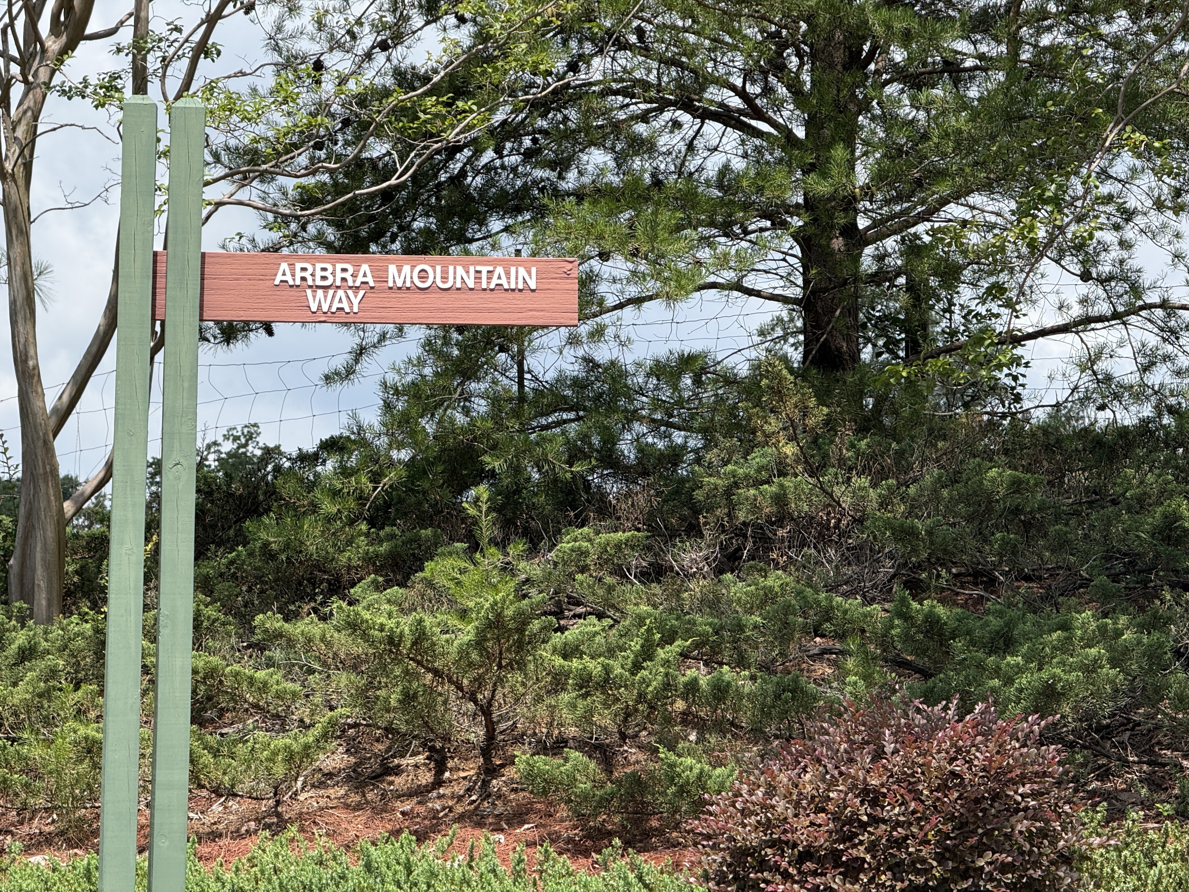 Lot 15 Arbra Mountain Way, Bostic NC — Yellowtop Mountain Estates