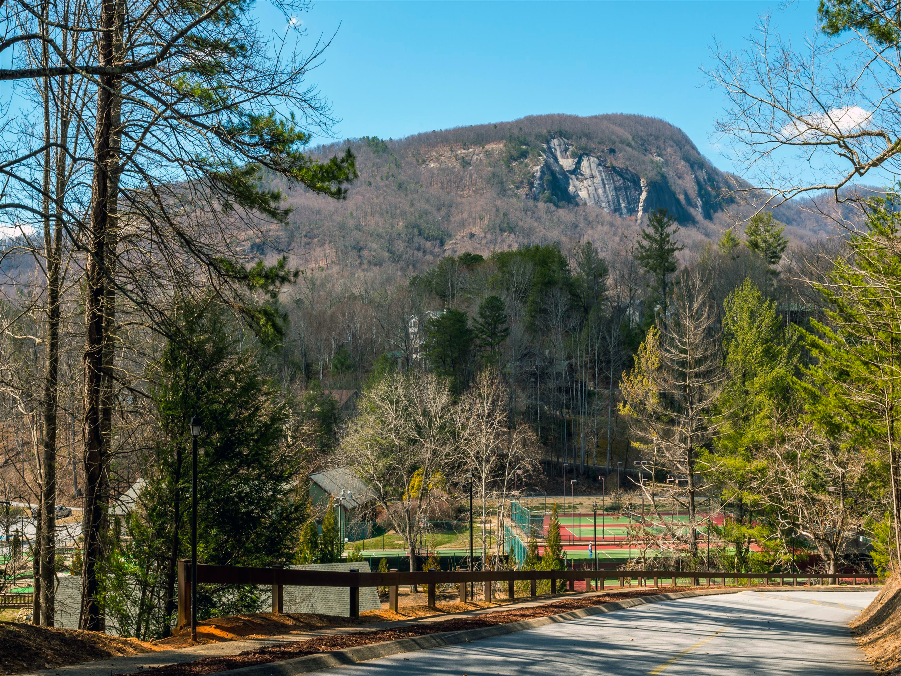 160 Whitney Blvd #3 — Apple Valley Villa at Rumbling Bald on Lake Lure, NC