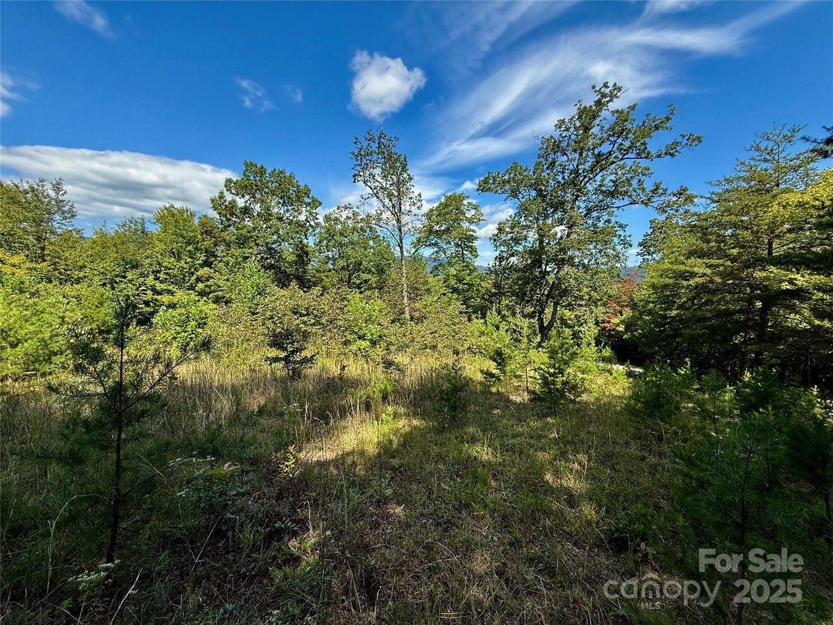 Lake Lure North Carolina Hibiscus Court land lot