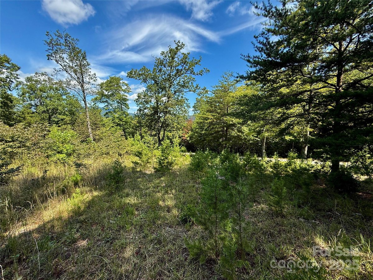Lake Lure North Carolina Hibiscus Court land lot