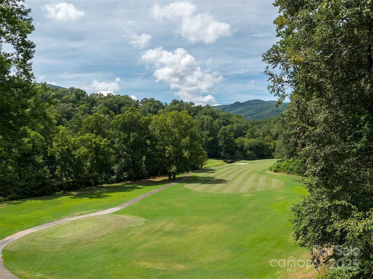 Lake Lure North Carolina Hibiscus Court land lot