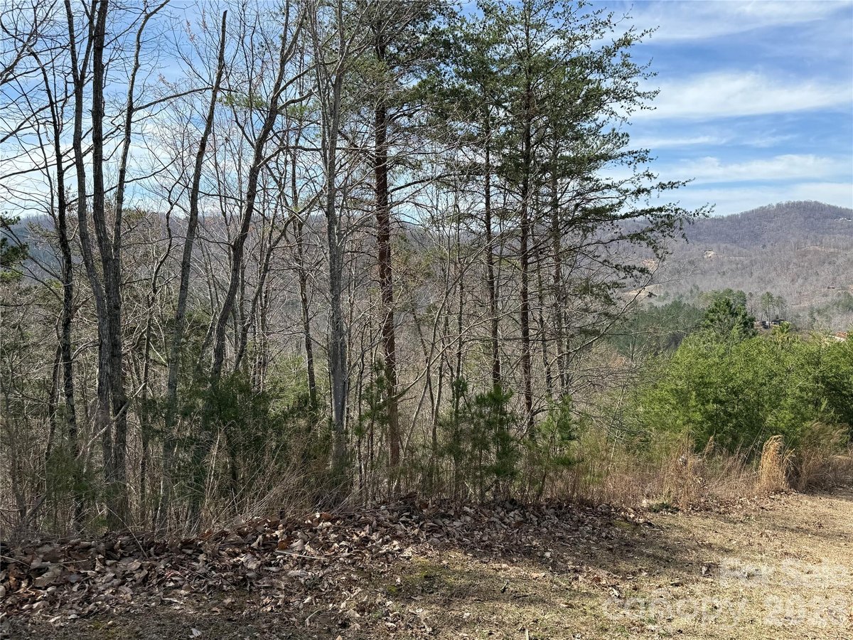 Bostic North Carolina Pinegrove Drive land lot