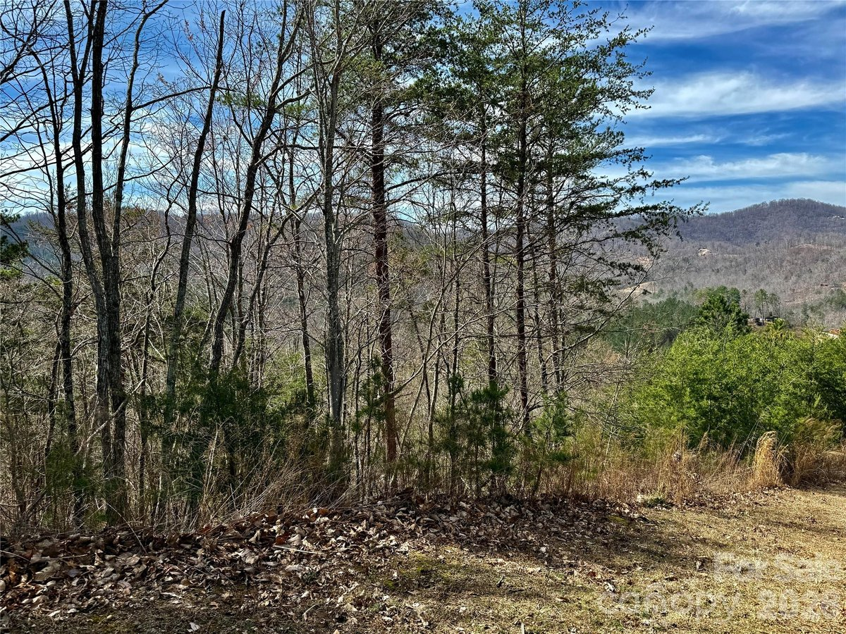 Bostic North Carolina Pinegrove Drive land lot