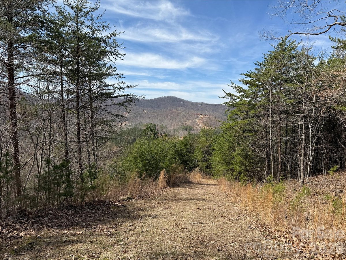 Bostic North Carolina Pinegrove Drive land lot
