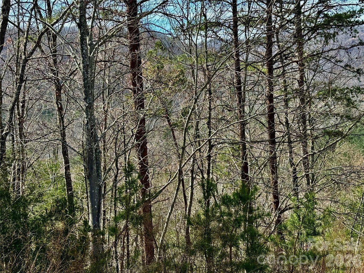 Bostic North Carolina Pinegrove Drive land lot