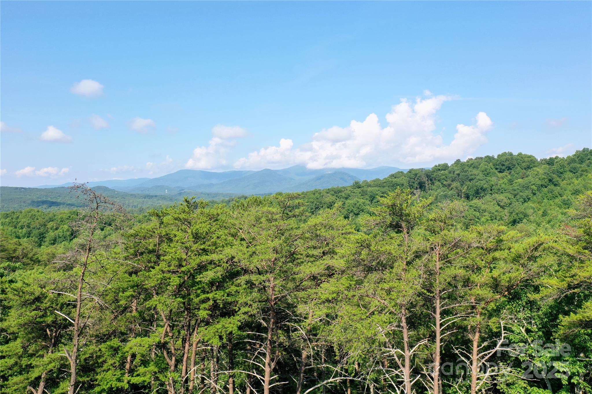 241 Rock Ledge Drive, Lake Lure, NC — Ken Williams, Lake Lure NC real estate — photo 10 of 20