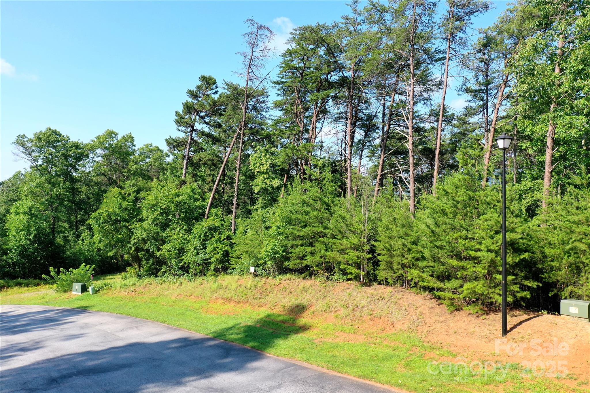 241 Rock Ledge Drive, Lake Lure, NC — Ken Williams, Lake Lure NC real estate — photo 11 of 20