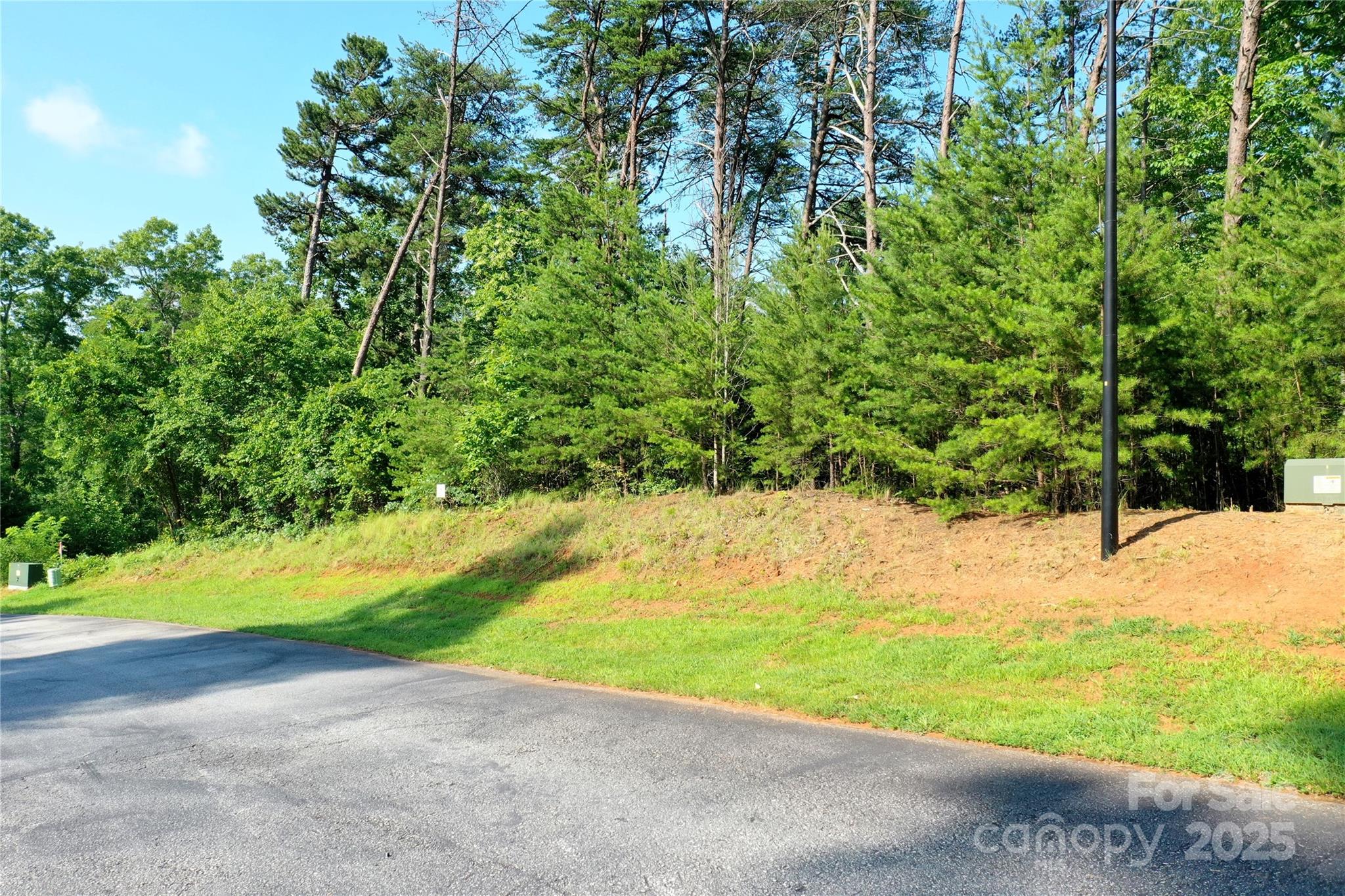 241 Rock Ledge Drive, Lake Lure, NC — Ken Williams, Lake Lure NC real estate — photo 4 of 20