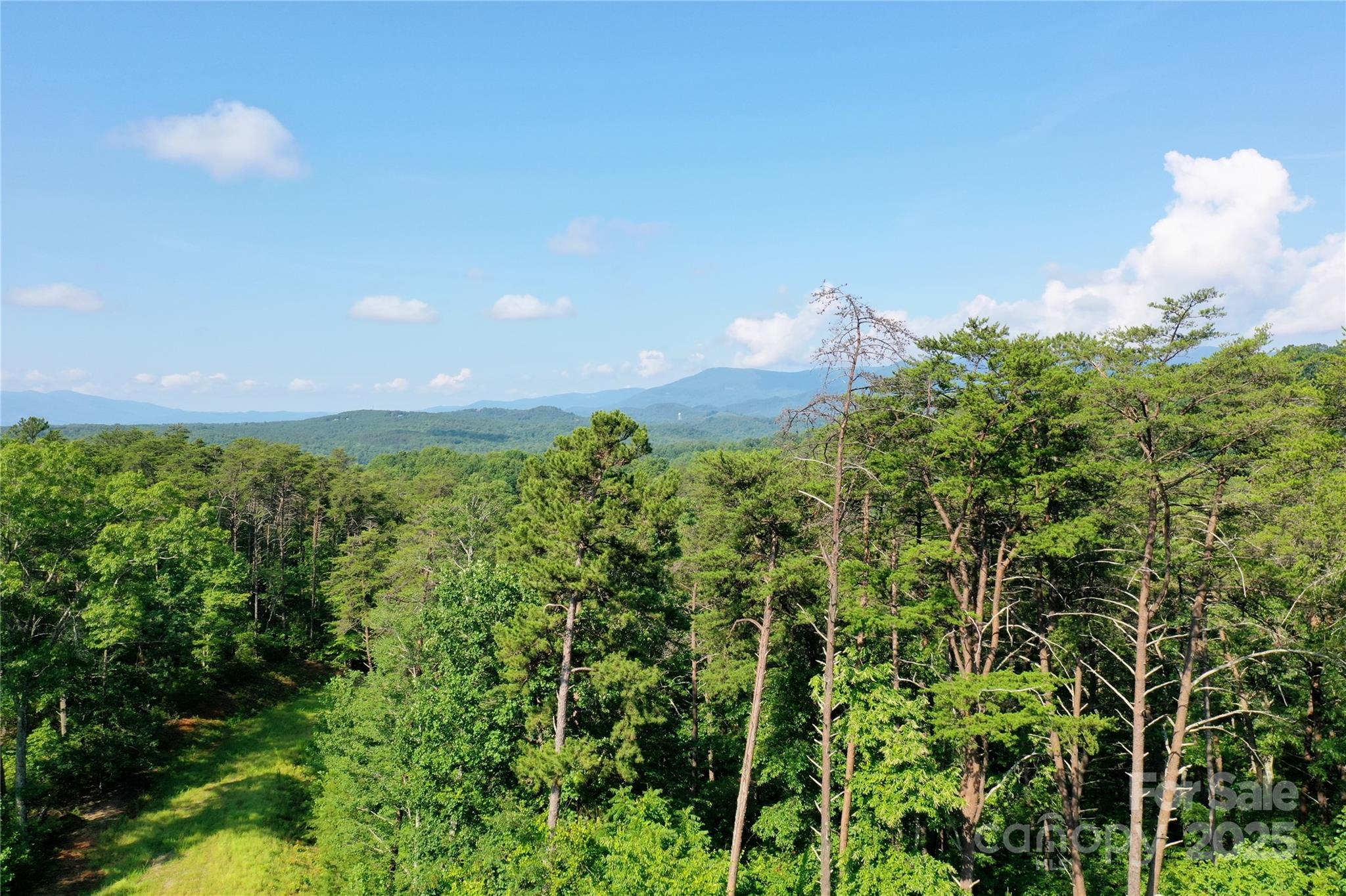241 Rock Ledge Drive, Lake Lure, NC — Ken Williams, Lake Lure NC real estate — photo 6 of 20
