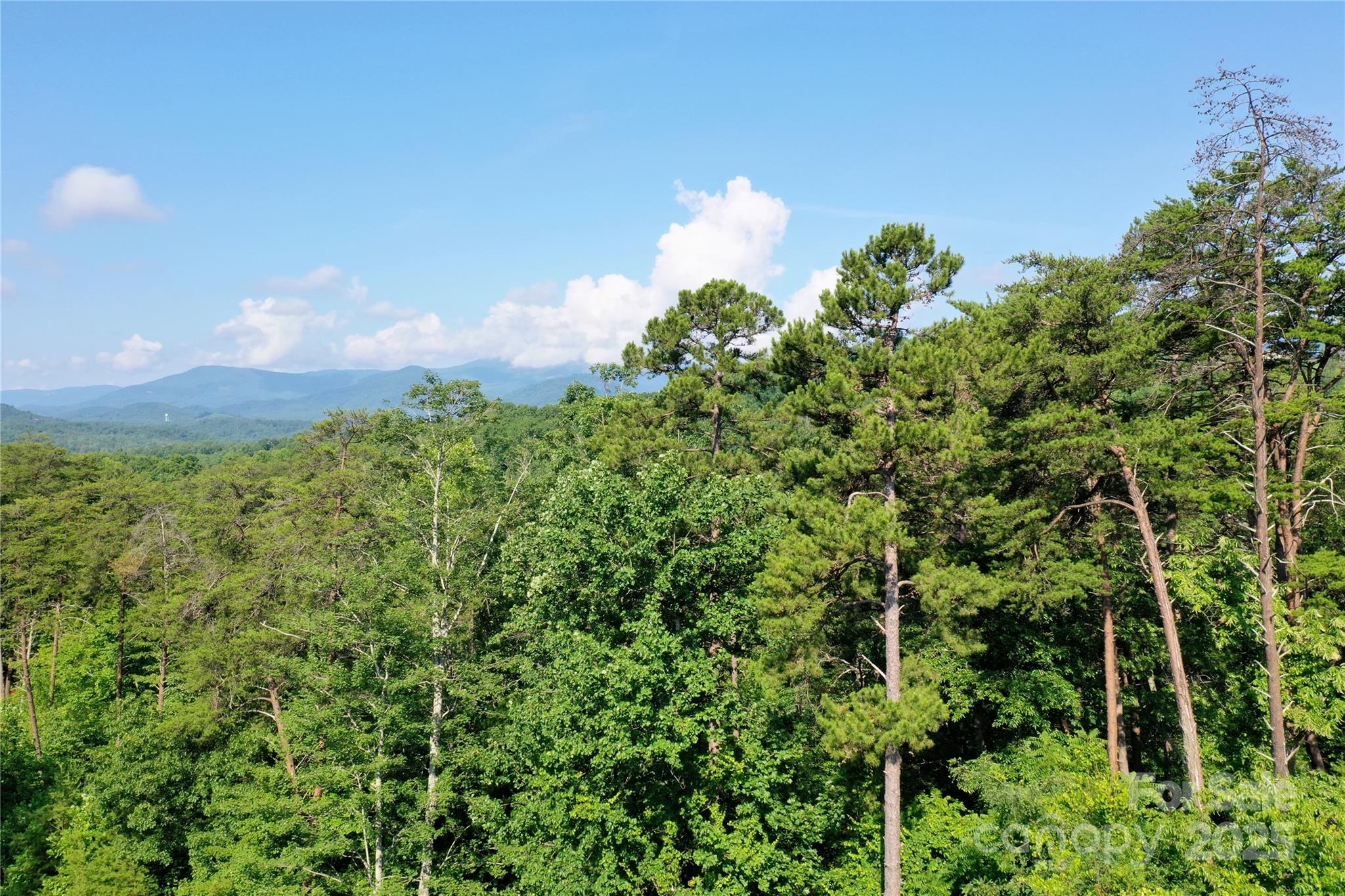 241 Rock Ledge Drive, Lake Lure, NC — Ken Williams, Lake Lure NC real estate — photo 9 of 20