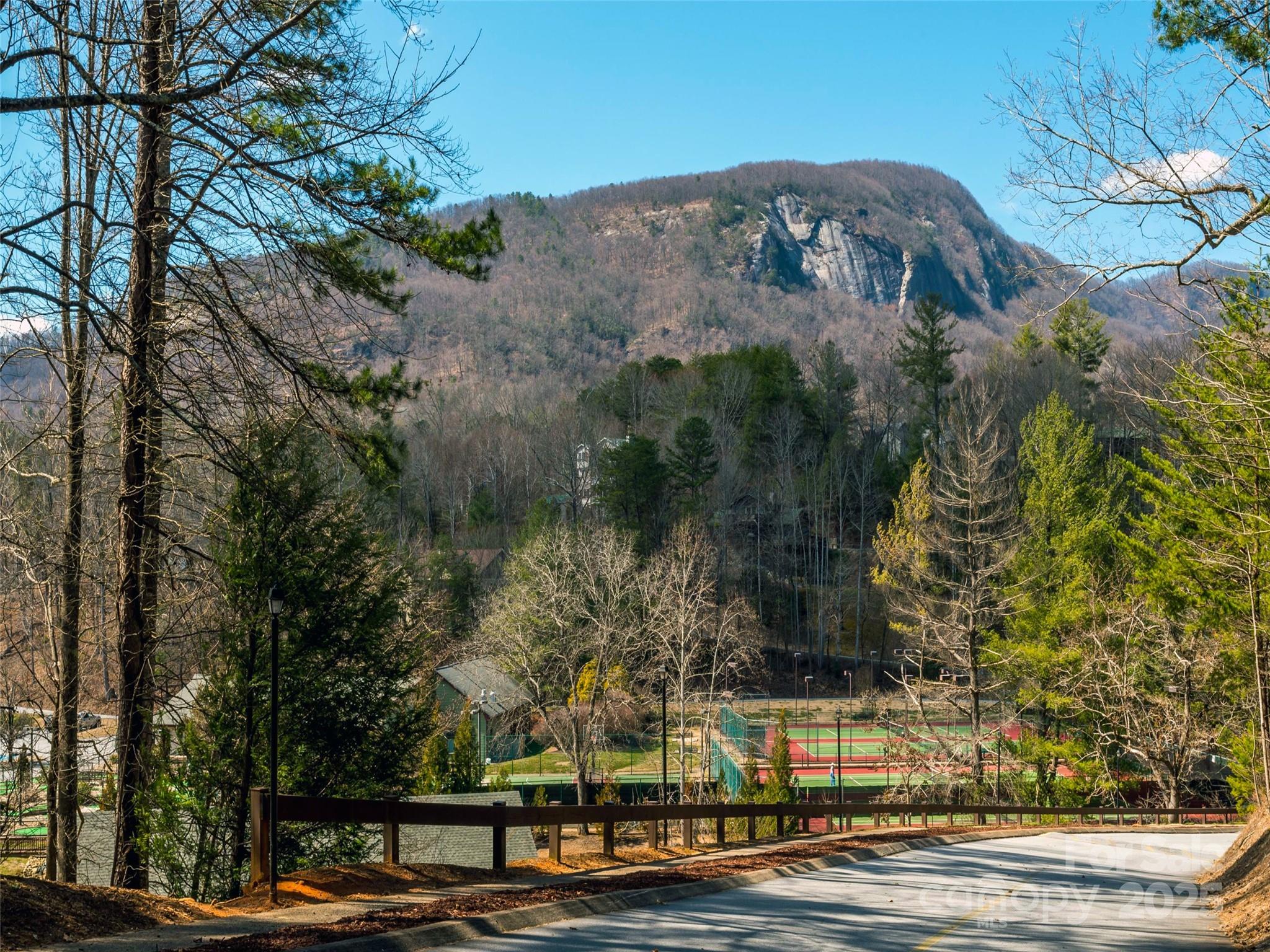 0 Hibiscus Court, Lake Lure, NC — Ken Williams, Lake Lure NC real estate — photo 13 of 20