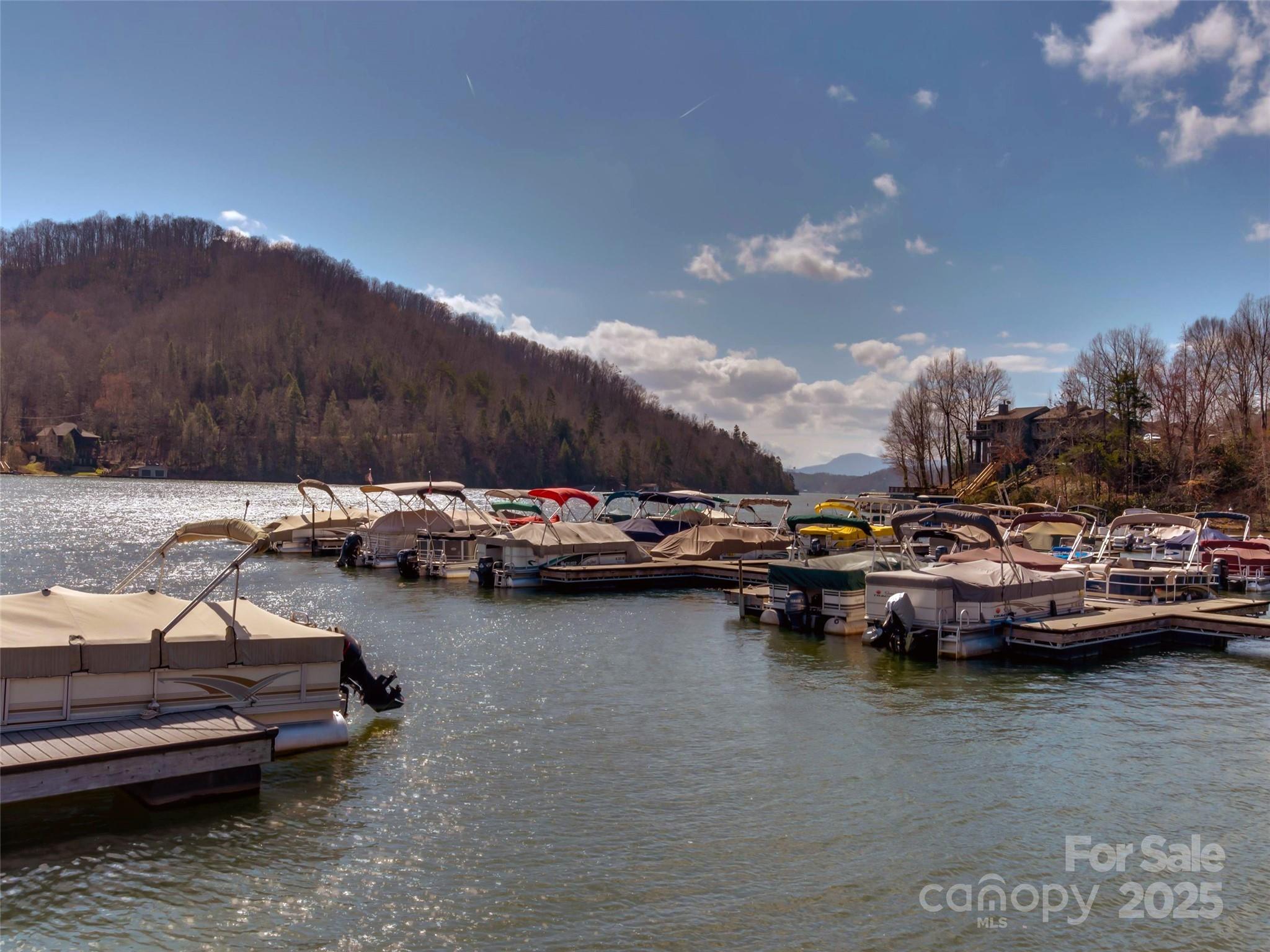 0 Hibiscus Court, Lake Lure, NC — Ken Williams Lake Lure real estate — photo 19