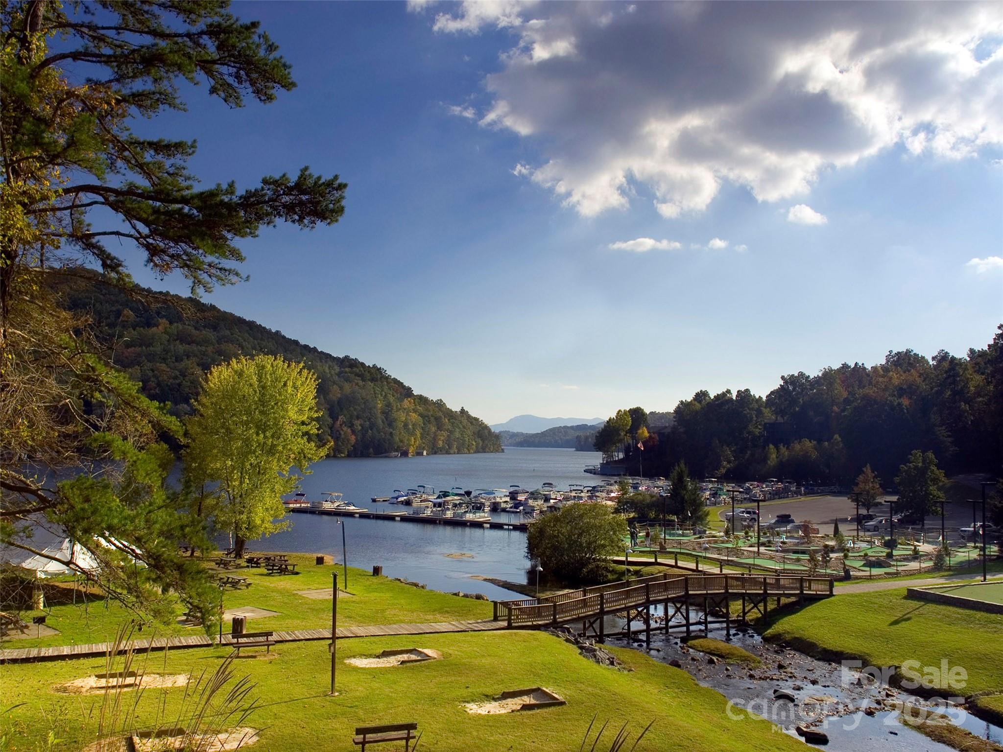 0 Hibiscus Court, Lake Lure, NC — Ken Williams, Lake Lure NC real estate — photo 20 of 20