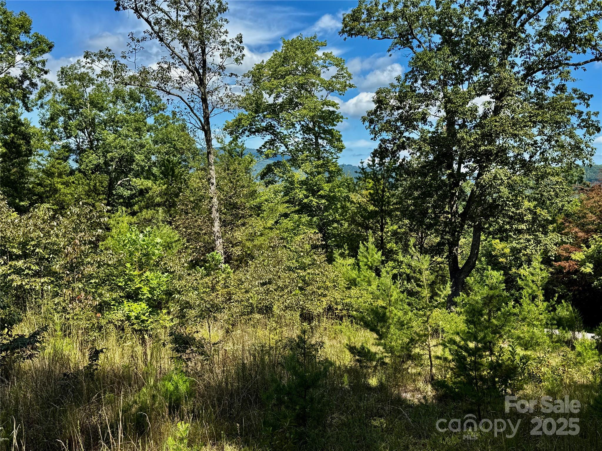 0 Hibiscus Court, Lake Lure, NC — Ken Williams, Lake Lure NC real estate — photo 4 of 20