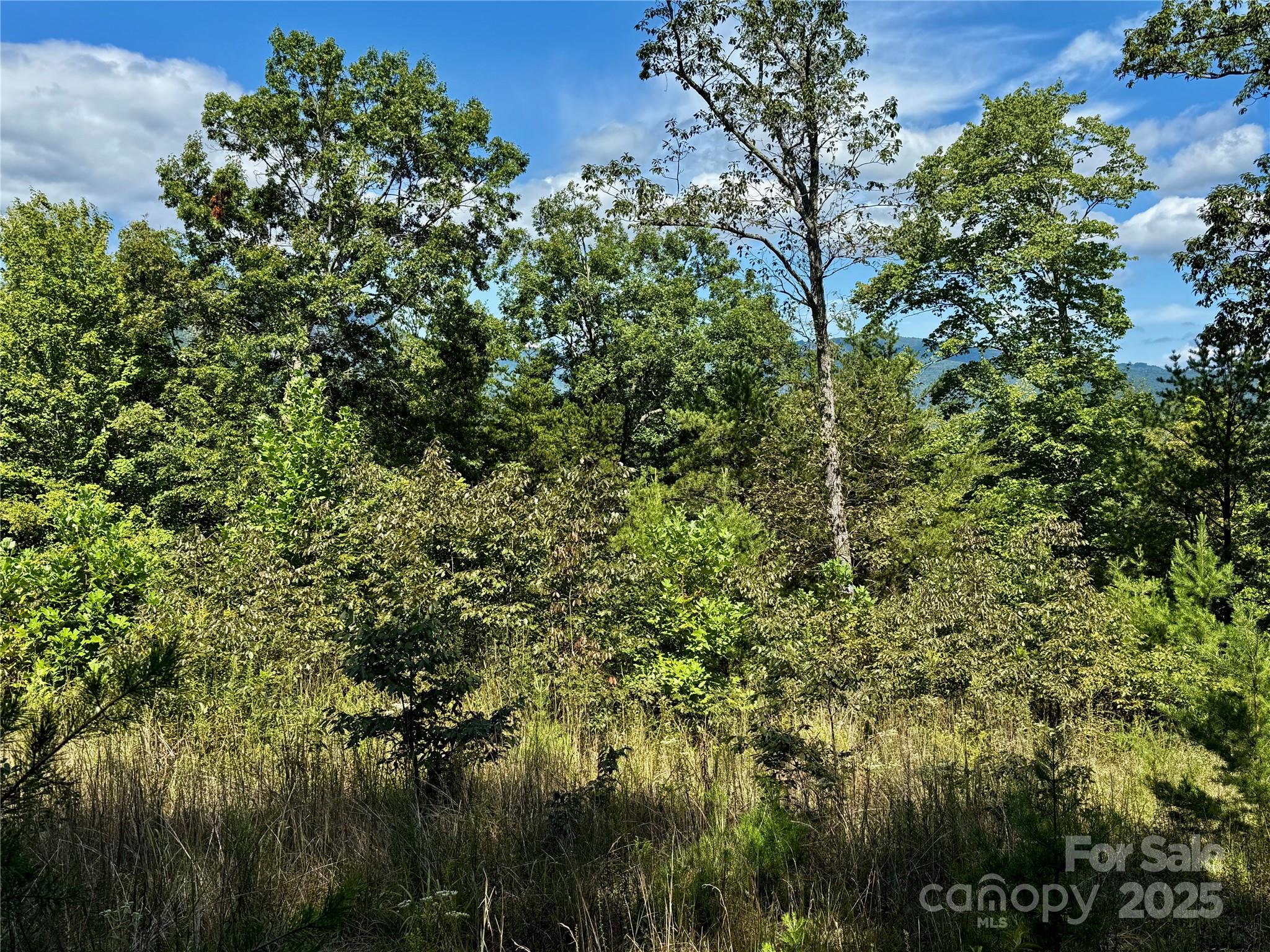0 Hibiscus Court, Lake Lure, NC — Ken Williams, Lake Lure NC real estate — photo 5 of 20