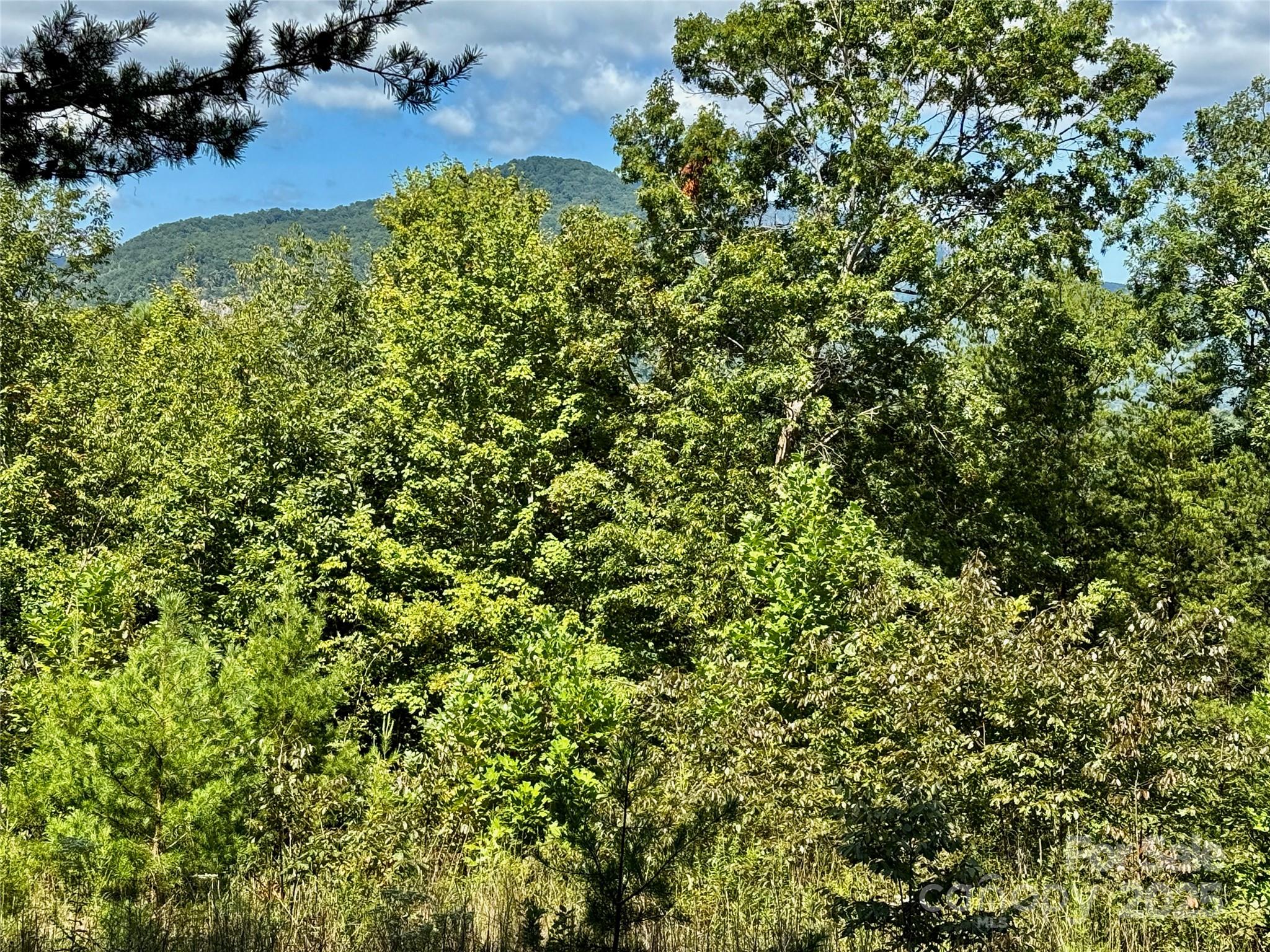 0 Hibiscus Court, Lake Lure, NC — Ken Williams, Lake Lure NC real estate — photo 6 of 20