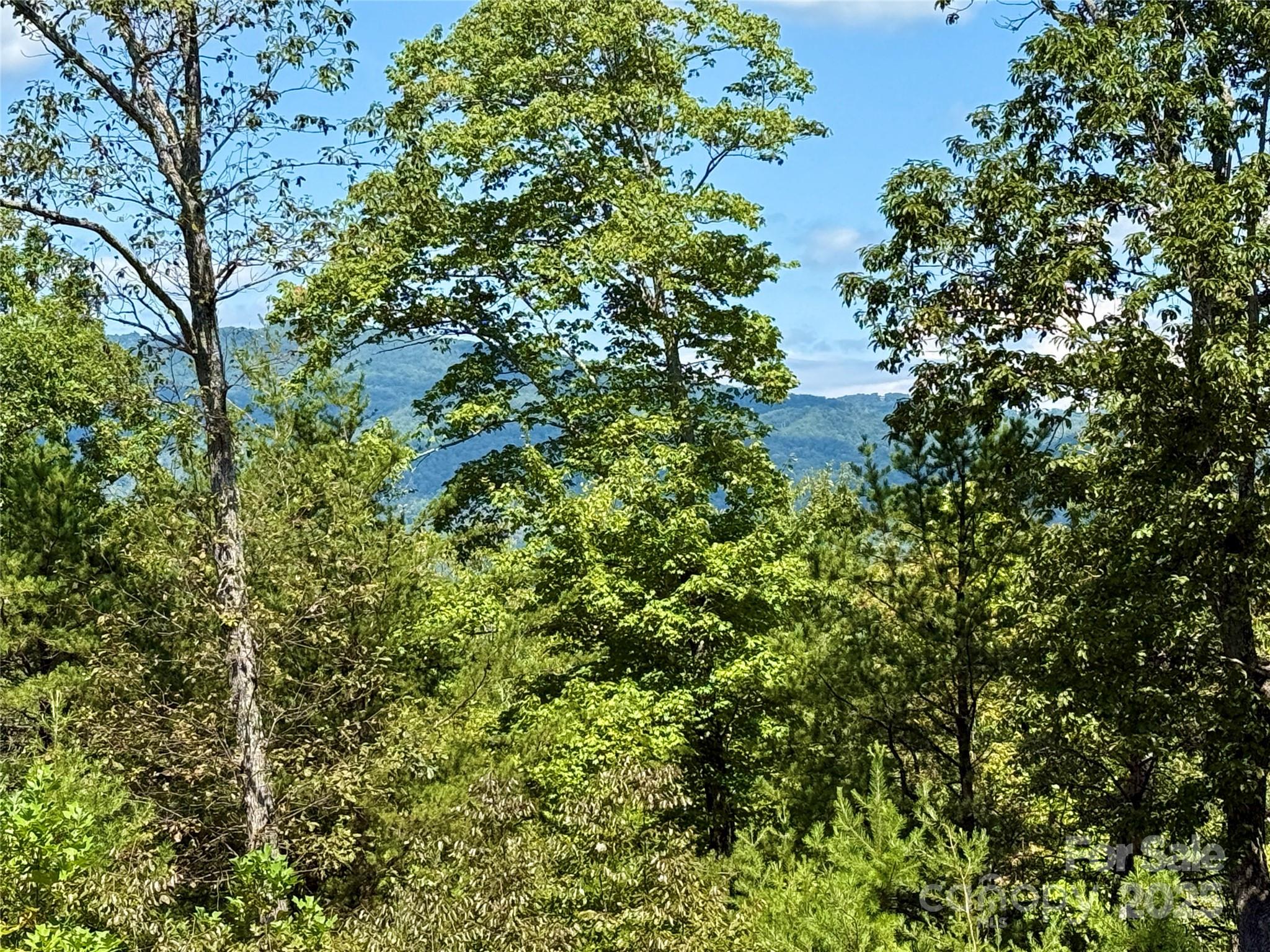 0 Hibiscus Court, Lake Lure, NC — Ken Williams, Lake Lure NC real estate — photo 8 of 20