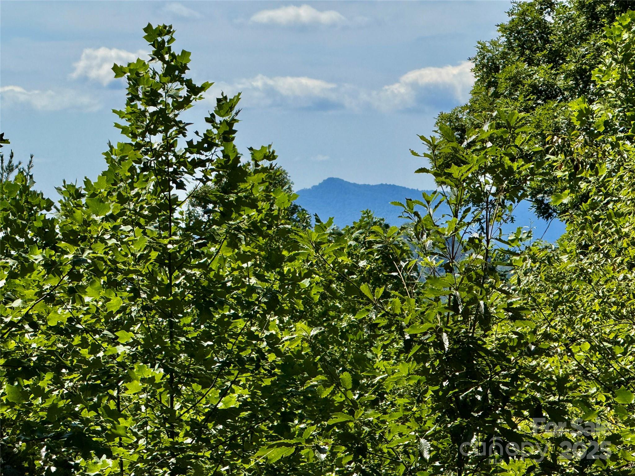 0 Hibiscus Court, Lake Lure, NC — Ken Williams, Lake Lure NC real estate — photo 9 of 20