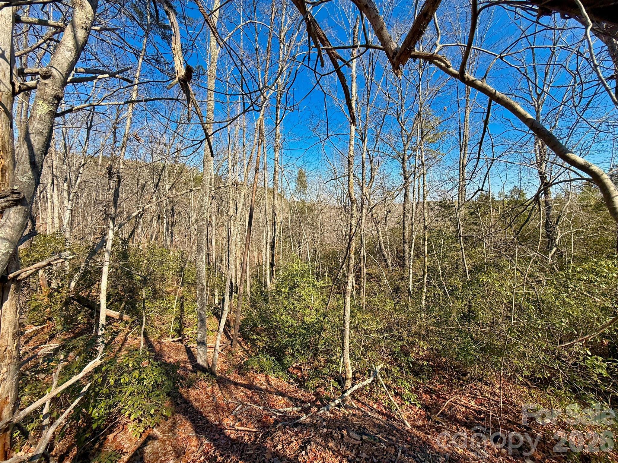 Lots 79 80 100 Westridge Drive, Lake Lure, NC — Ken Williams, Lake Lure NC real estate — photo 4 of 8