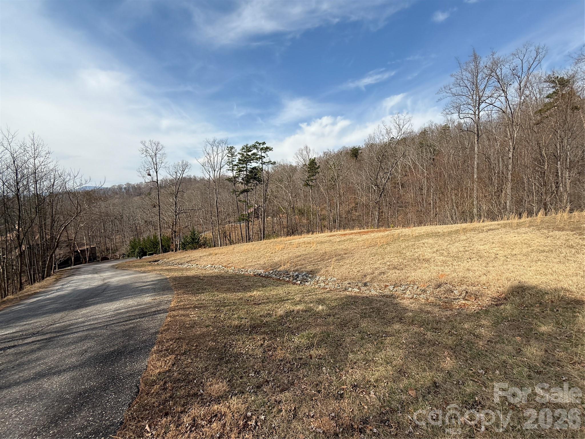 Lot 236 Rock Ledge Drive, Lake Lure, NC — Ken Williams, Lake Lure NC real estate — photo 10 of 20