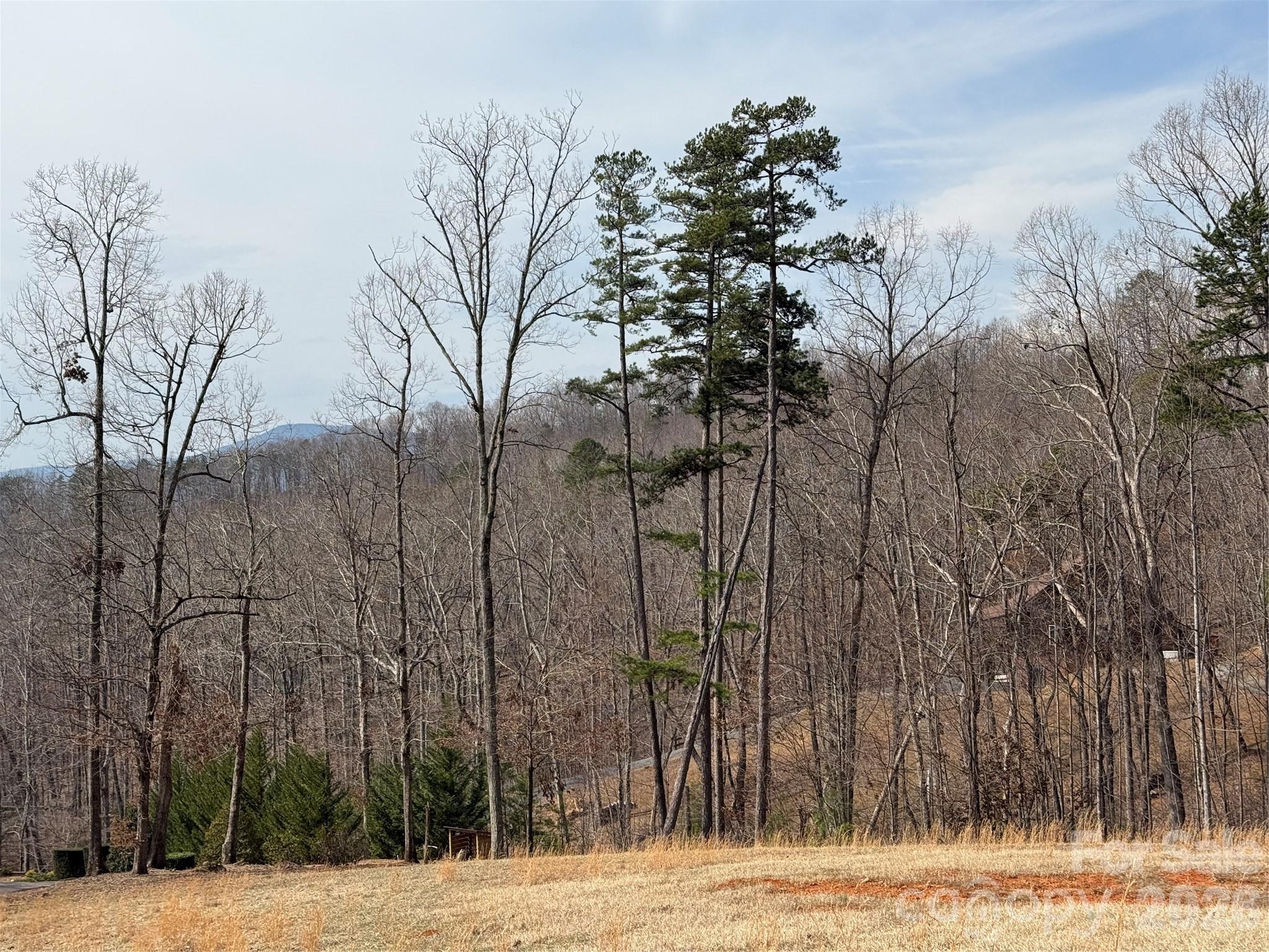 Lot 236 Rock Ledge Drive, Lake Lure, NC — Ken Williams, Lake Lure NC real estate — photo 11 of 20