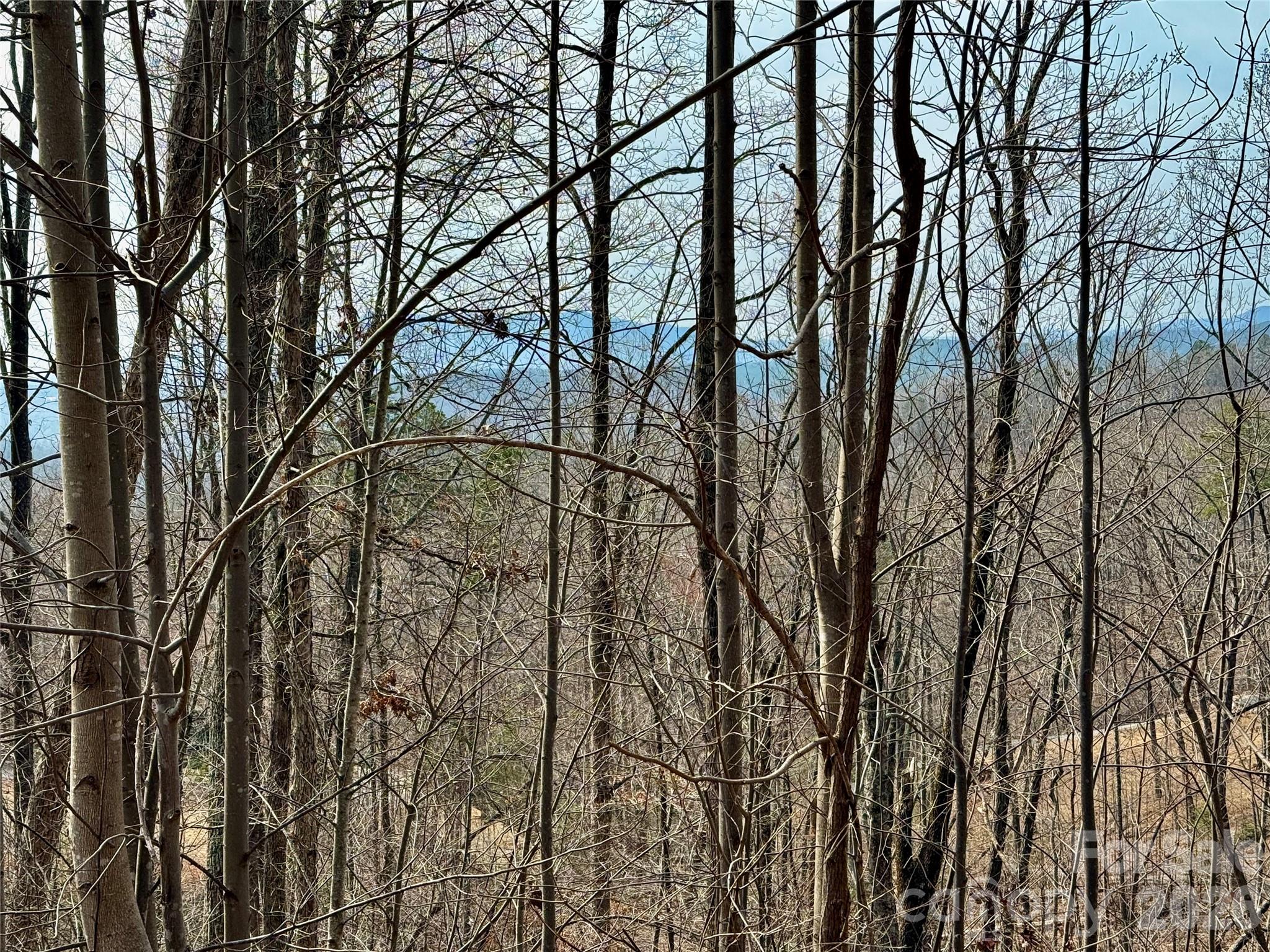 Lot 236 Rock Ledge Drive, Lake Lure, NC — Ken Williams, Lake Lure NC real estate — photo 18 of 20