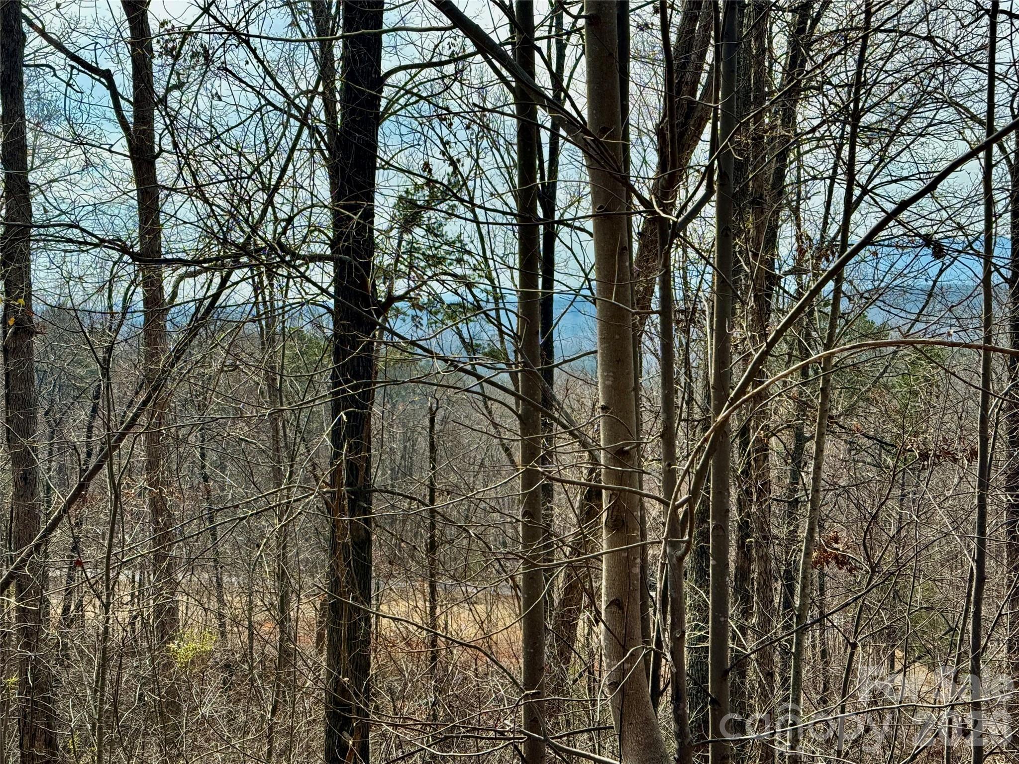 Lot 236 Rock Ledge Drive, Lake Lure, NC — Ken Williams Lake Lure real estate — photo 19