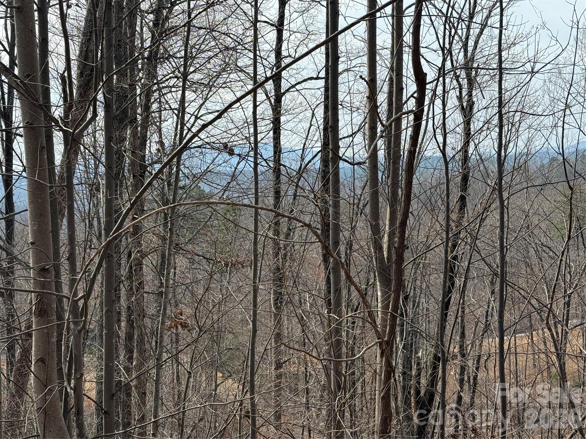 Lot 236 Rock Ledge Drive, Lake Lure, NC — Ken Williams, Lake Lure NC real estate — photo 2 of 20