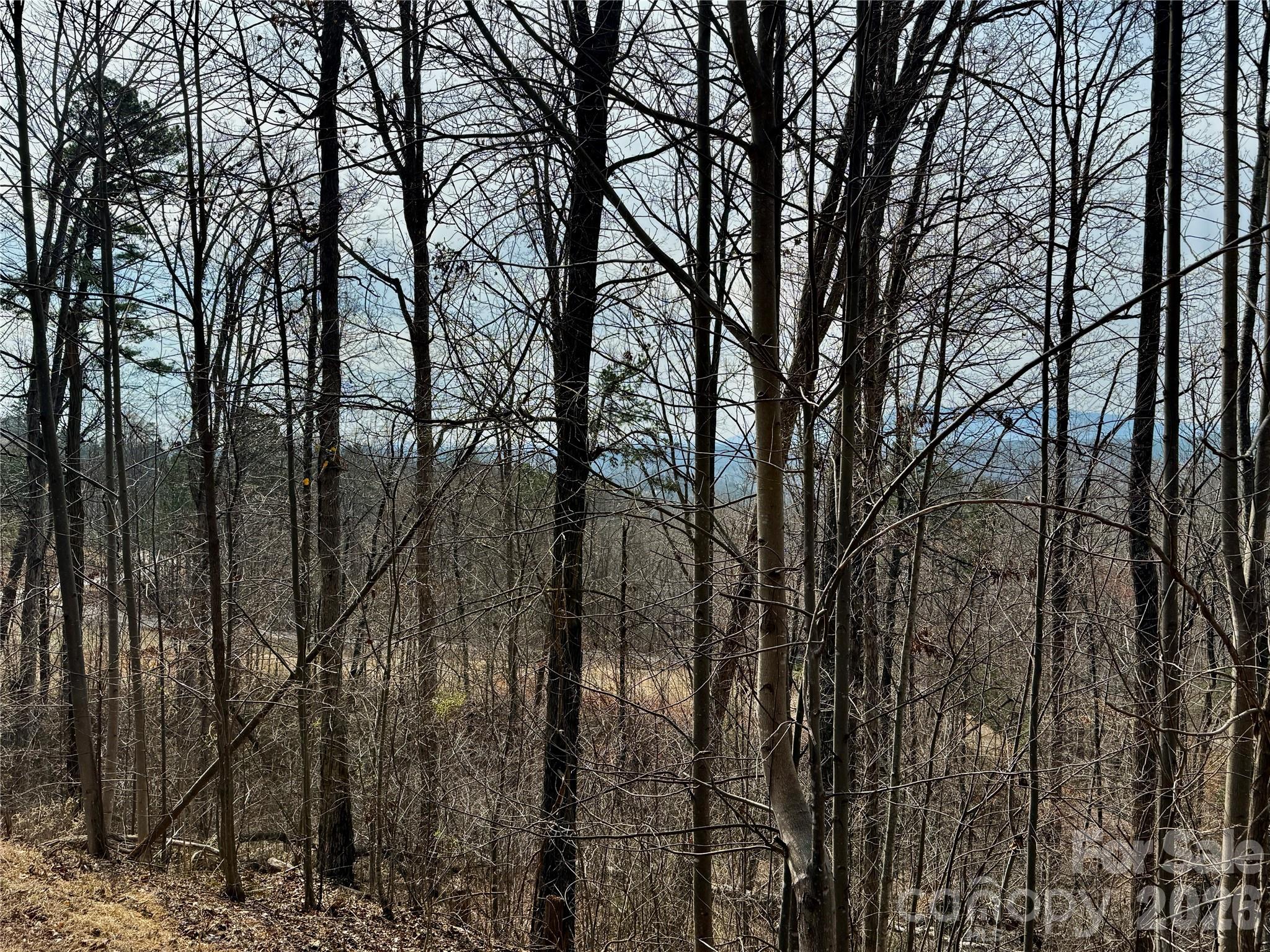 Lot 236 Rock Ledge Drive, Lake Lure, NC — Ken Williams, Lake Lure NC real estate — photo 20 of 20