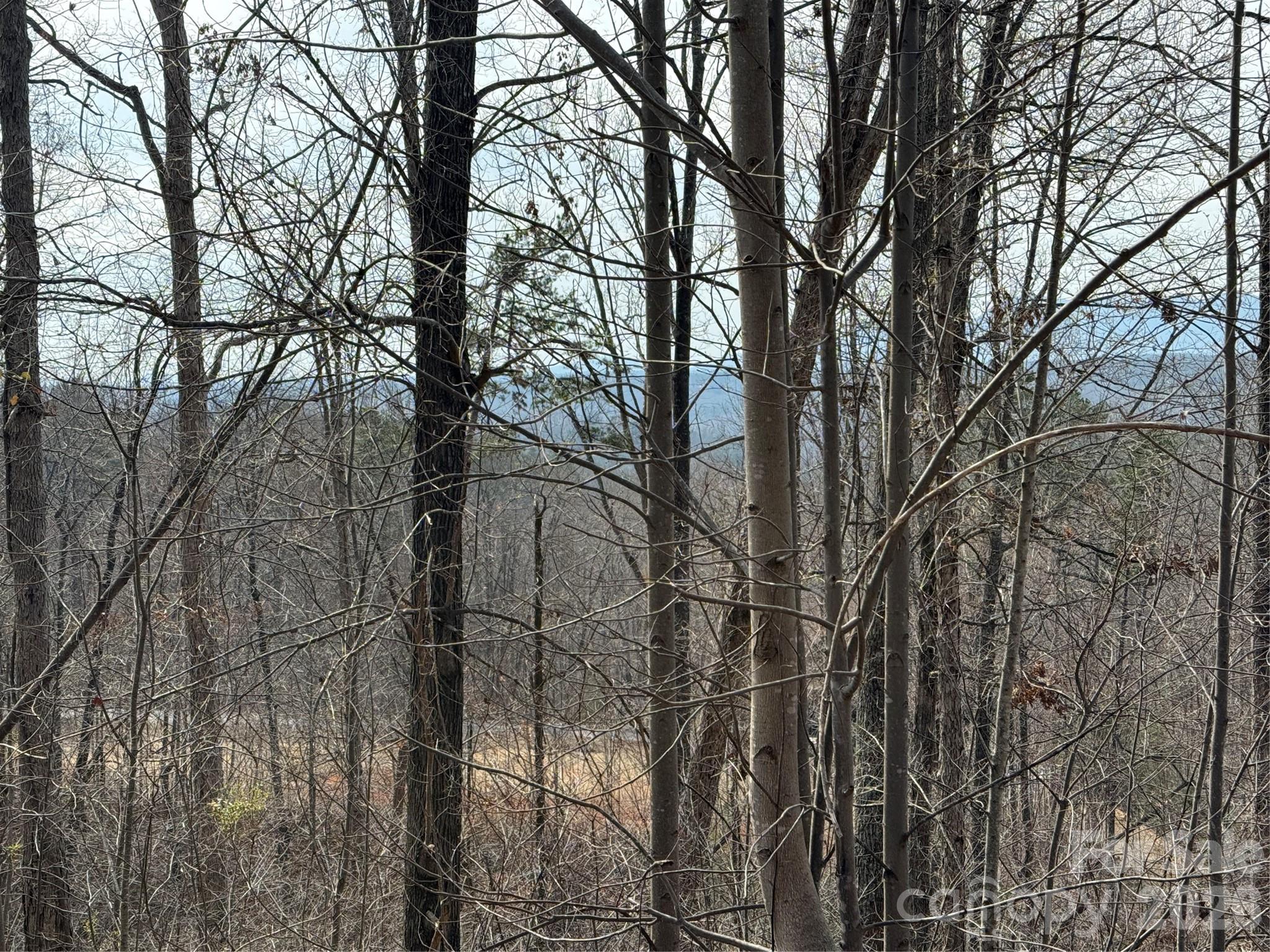 Lot 236 Rock Ledge Drive, Lake Lure, NC — Ken Williams, Lake Lure NC real estate — photo 3 of 20