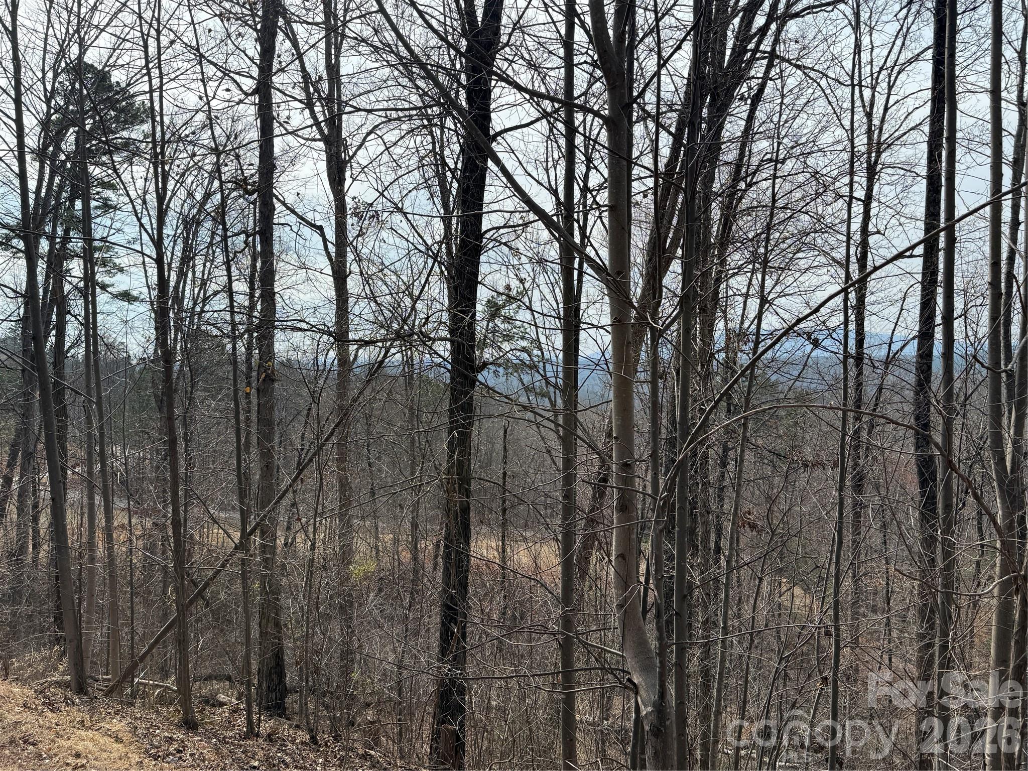 Lot 236 Rock Ledge Drive, Lake Lure, NC — Ken Williams, Lake Lure NC real estate — photo 4 of 20