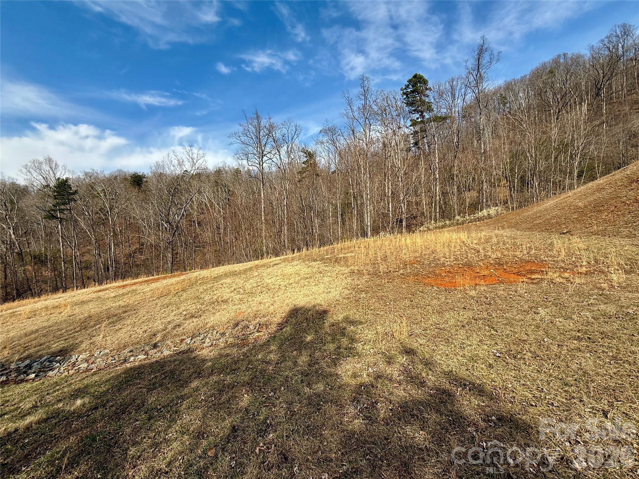 Lot 236 Rock Ledge Drive, Lake Lure, NC — Ken Williams, Lake Lure NC real estate — photo 6 of 20