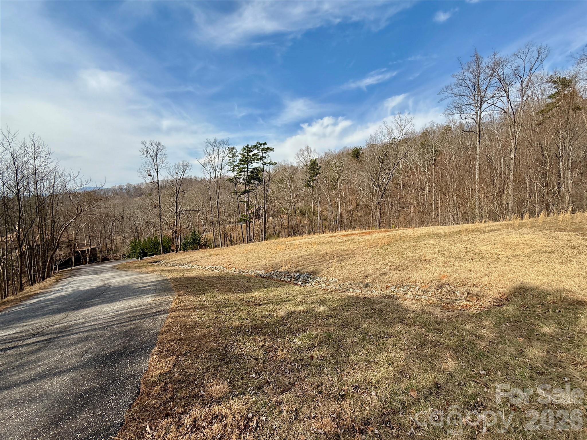 Lot 236 Rock Ledge Drive, Lake Lure, NC — Ken Williams, Lake Lure NC real estate — photo 7 of 20