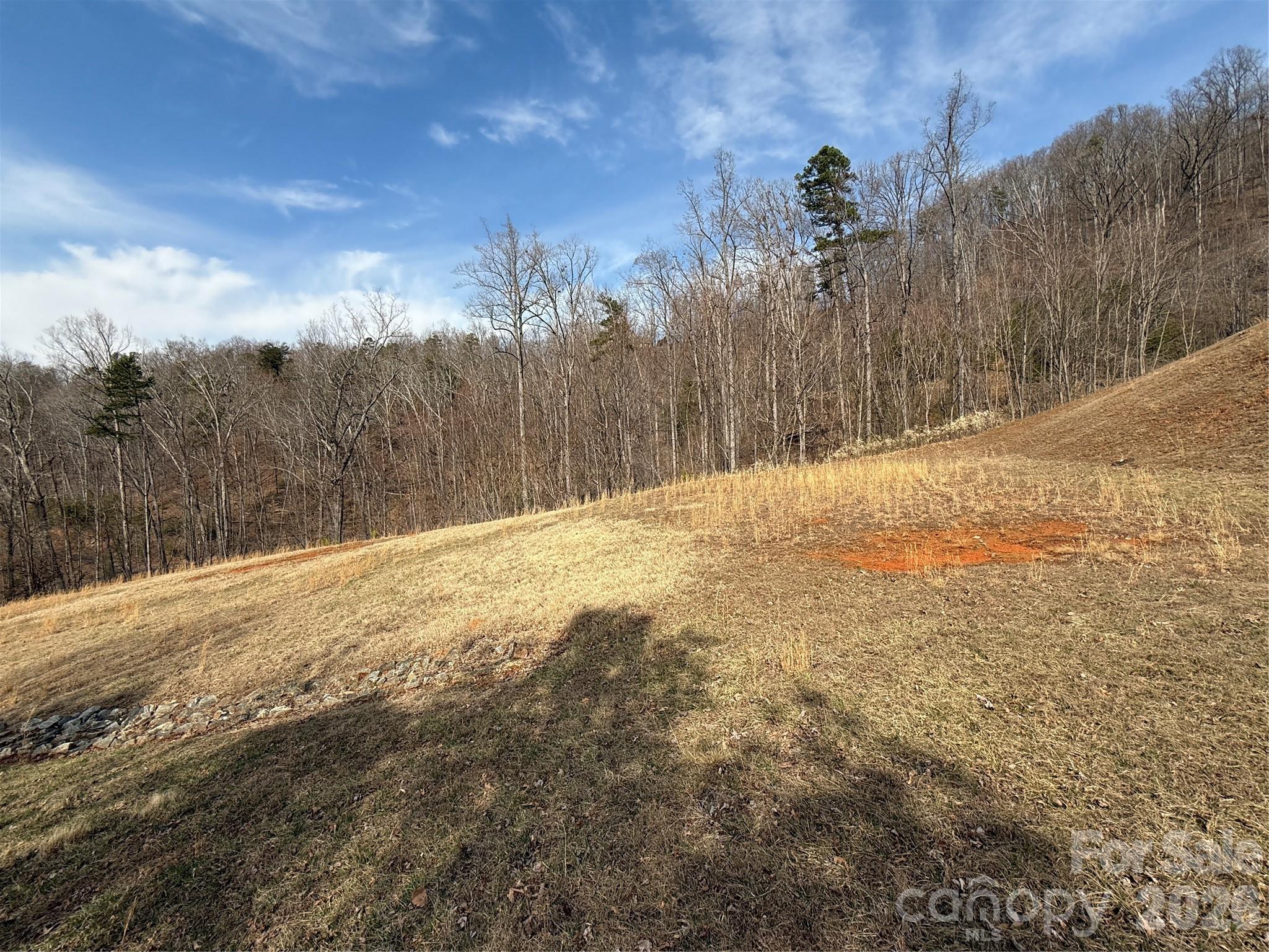 Lot 236 Rock Ledge Drive, Lake Lure, NC — Ken Williams, Lake Lure NC real estate — photo 9 of 20