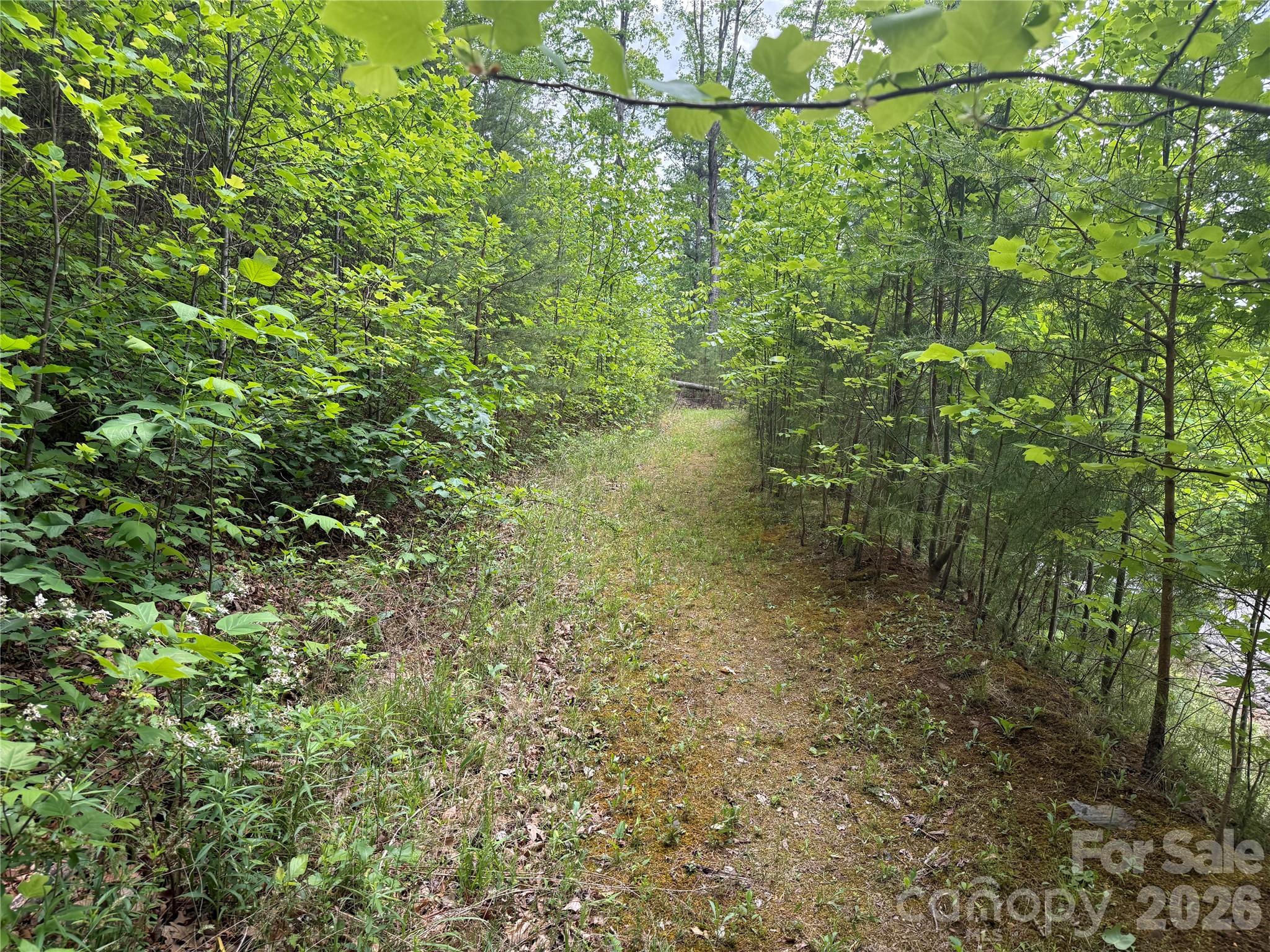 270 Rock Ledge Drive, Lake Lure, NC — Ken Williams, Lake Lure NC real estate — photo 4 of 20