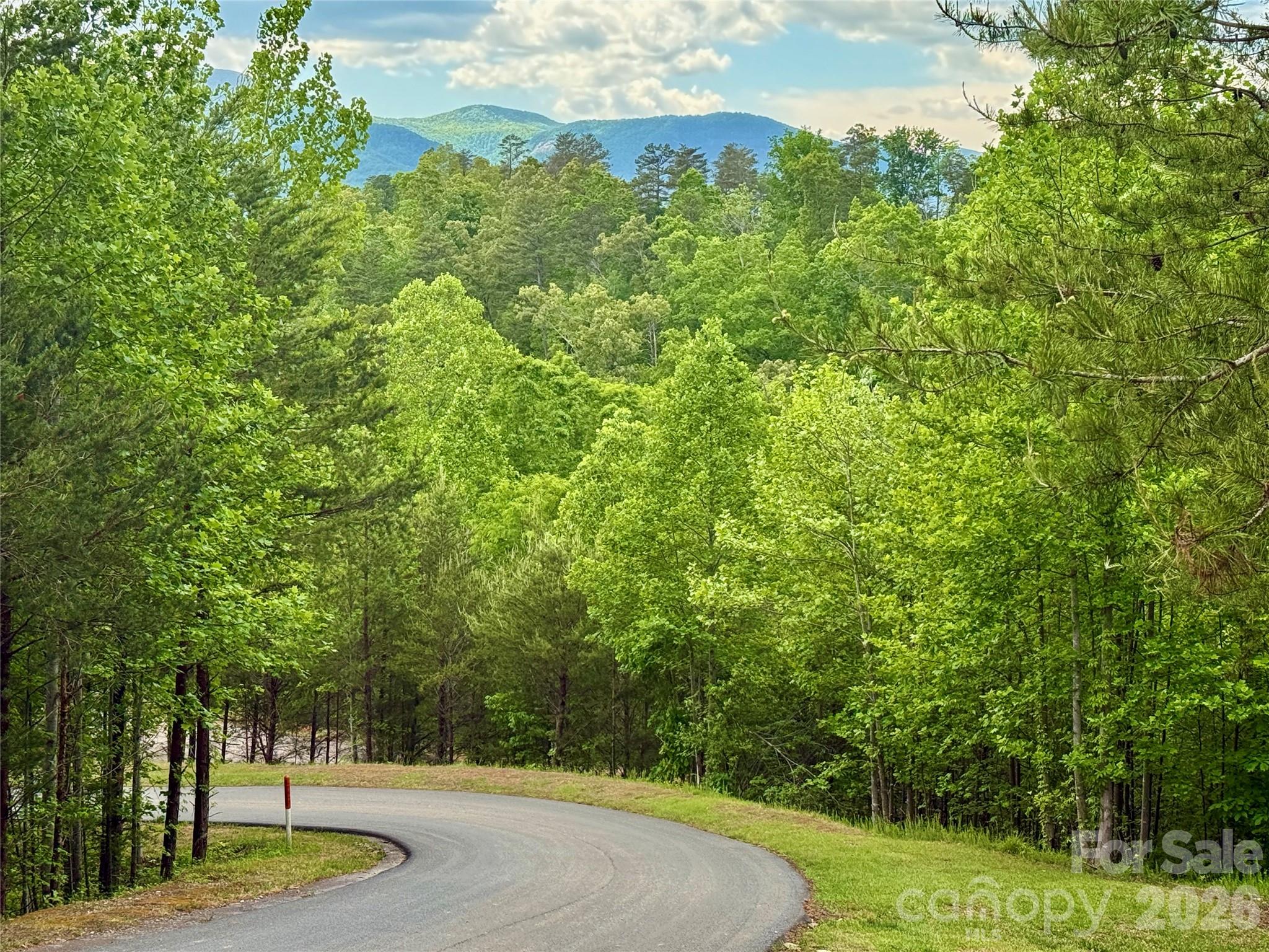 270 Rock Ledge Drive, Lake Lure, NC — Ken Williams, Lake Lure NC real estate — photo 5 of 20