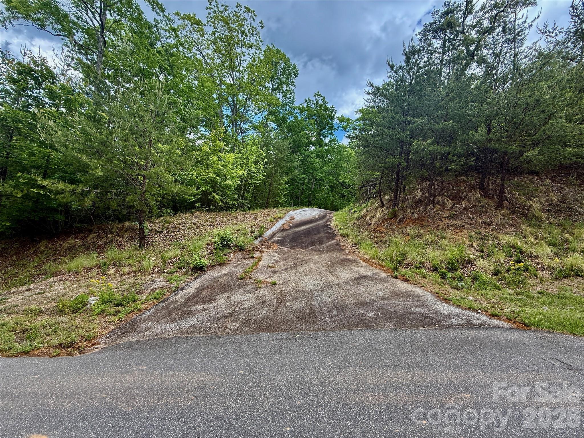 274 Bills Mountain Trail, Lake Lure, NC — Ken Williams, Lake Lure NC real estate — photo 4 of 20