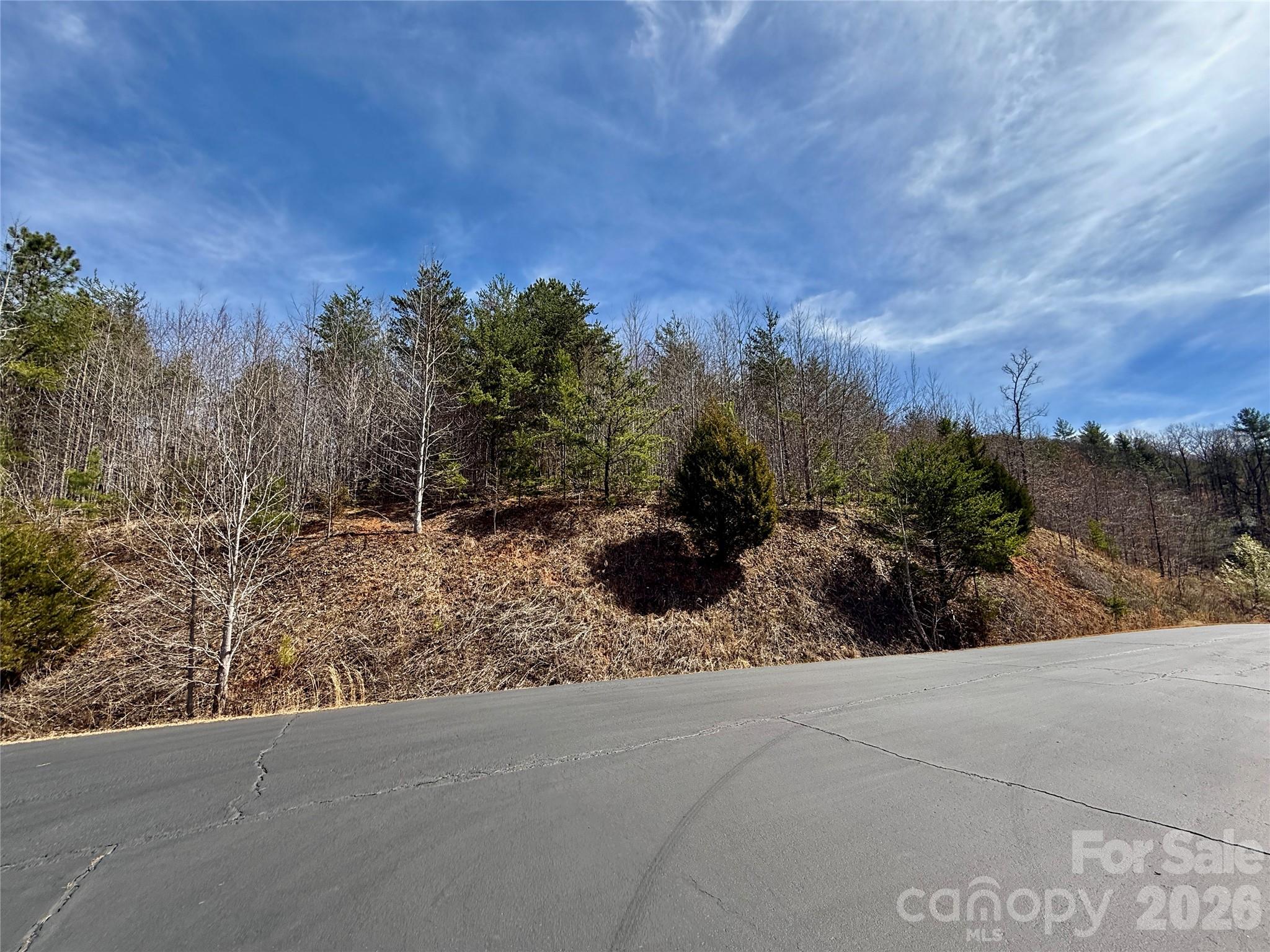 Lot 165 Pinegrove Drive, Bostic, NC — Ken Williams Lake Lure real estate — photo 19