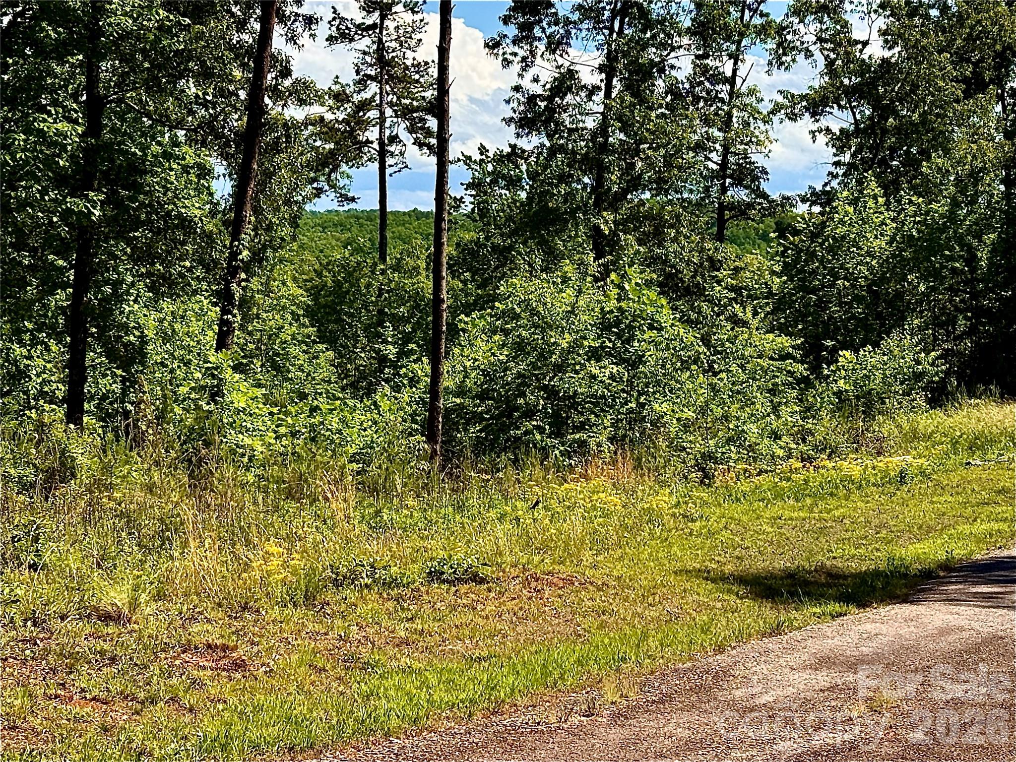 Lot 260 Rock Ledge Drive, Lake Lure, NC — Ken Williams, Lake Lure NC real estate — photo 5 of 19