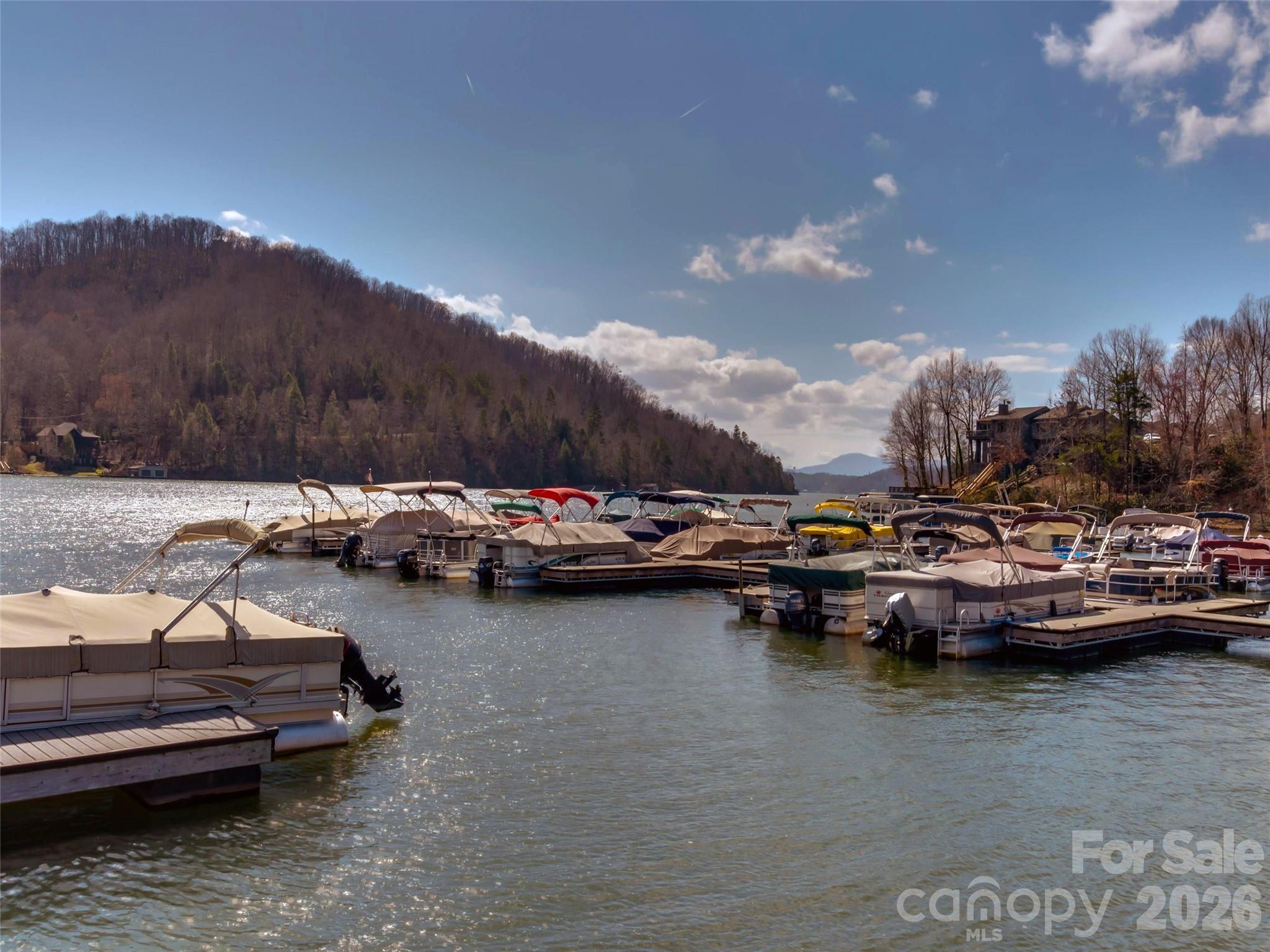 0 Waterside Drive, Lake Lure, NC — Ken Williams, Lake Lure NC real estate — photo 15 of 20