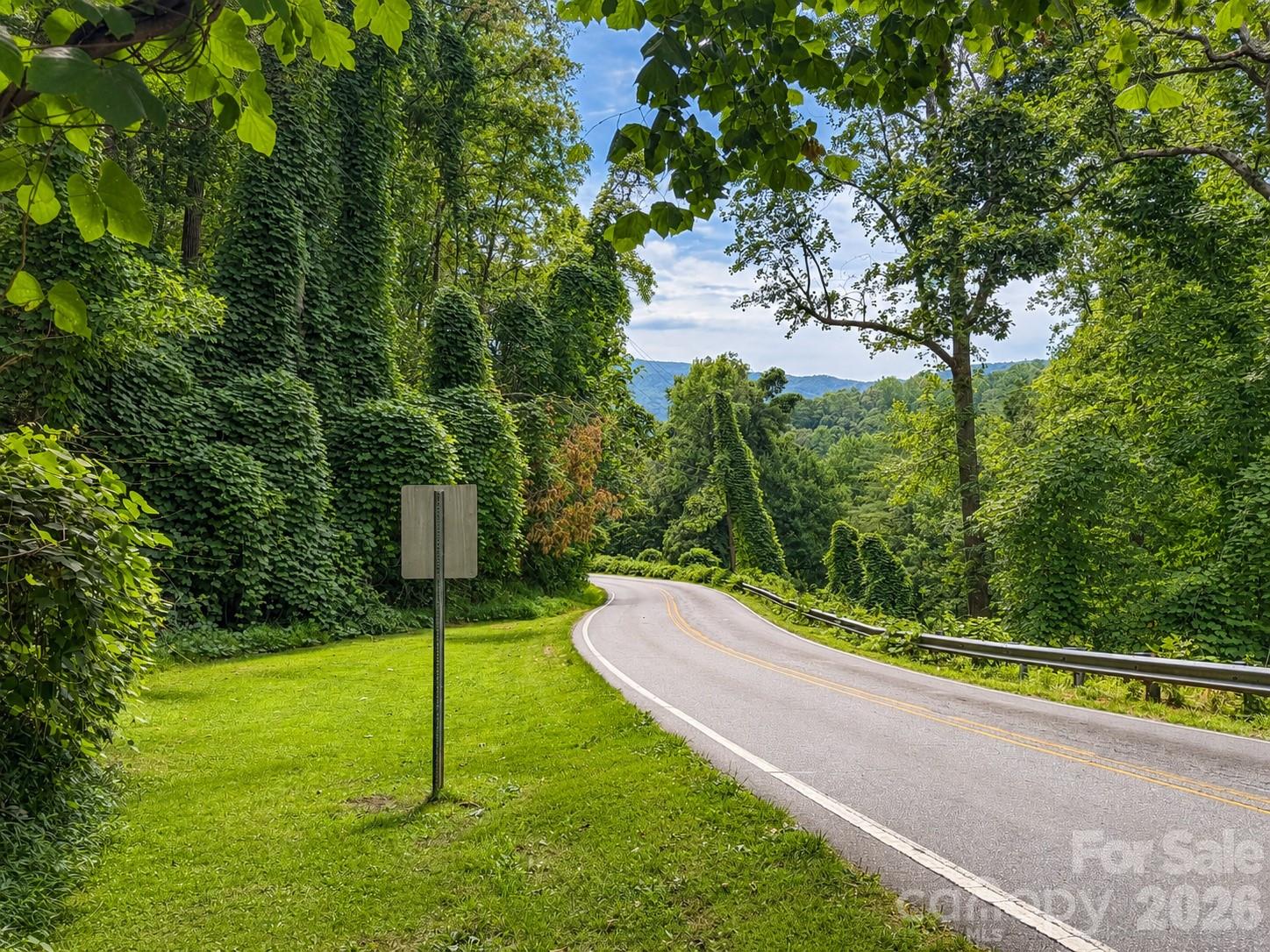 0 Waterside Drive, Lake Lure, NC — Ken Williams, Lake Lure NC real estate — photo 3 of 20