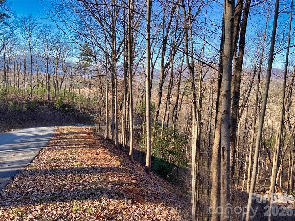 Lot 114 High Pines Loop, Lake Lure, NC — Lake Lure real estate, Ken Williams