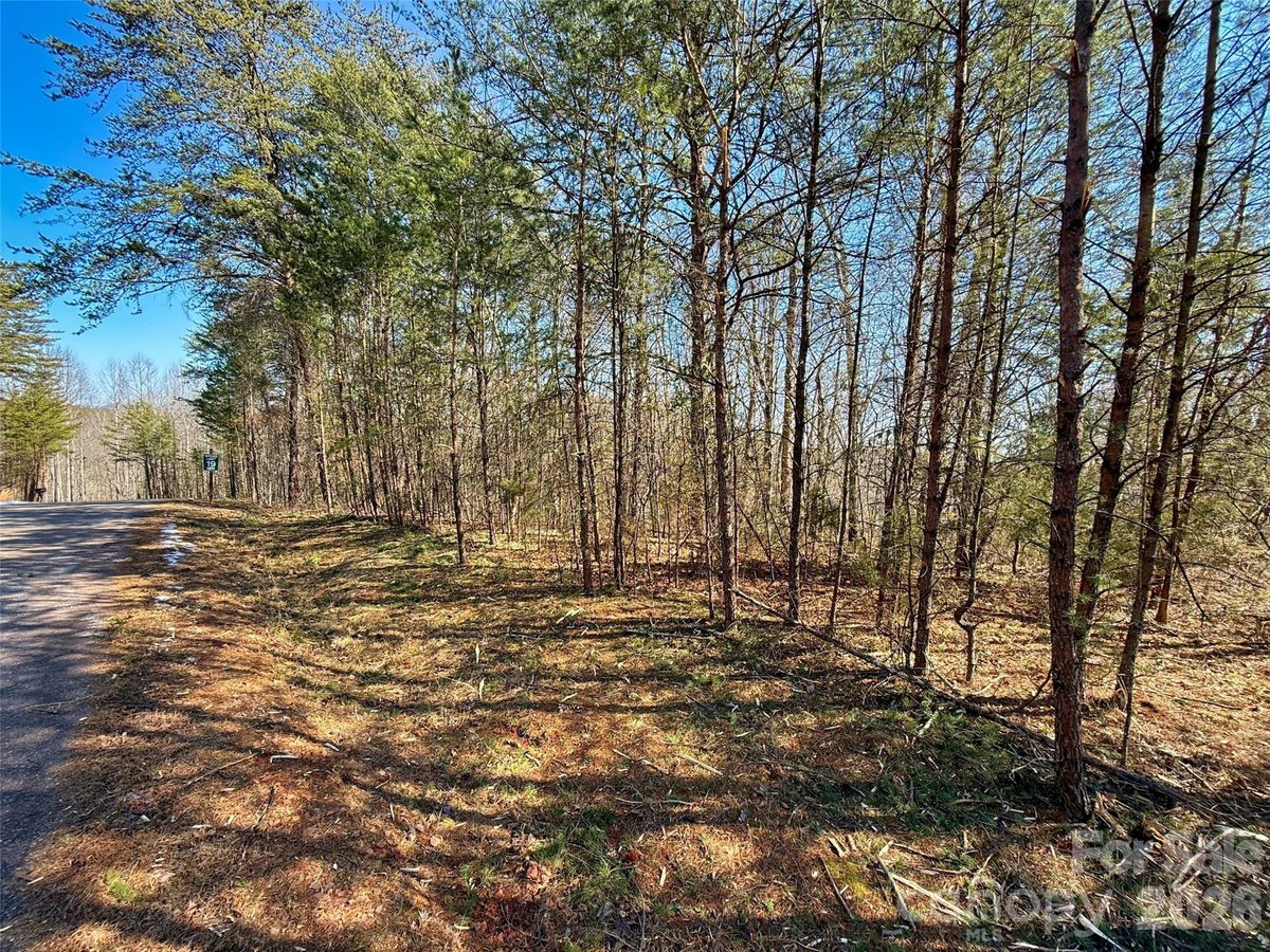 Lake Lure North Carolina Westridge Drive Sweetbriar Farms land parcel